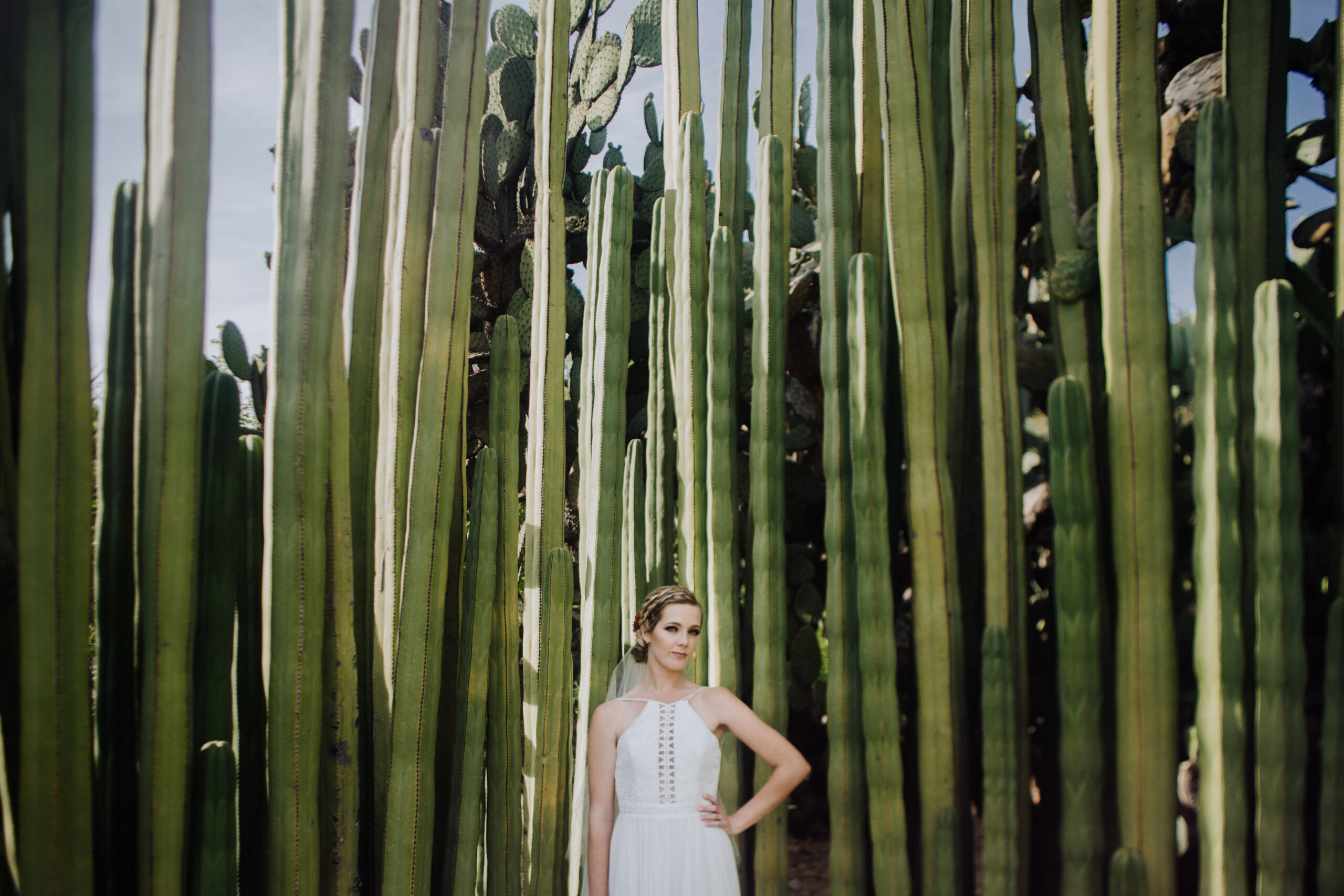bride walks through the gorgeous cactus garden 