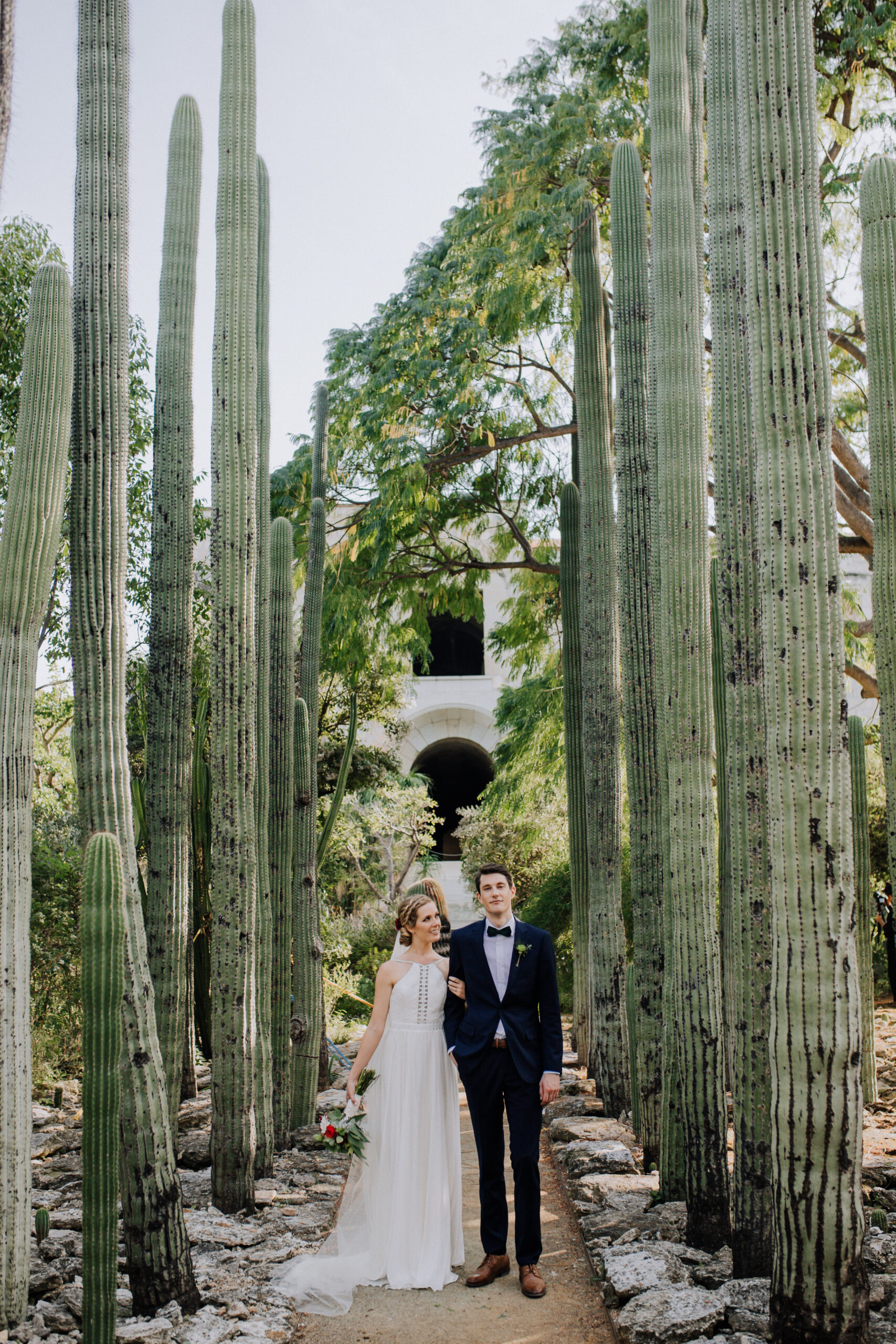 Stunning bride and groom pose in the cactus garden after their dreamy Oaxaca Wedding 