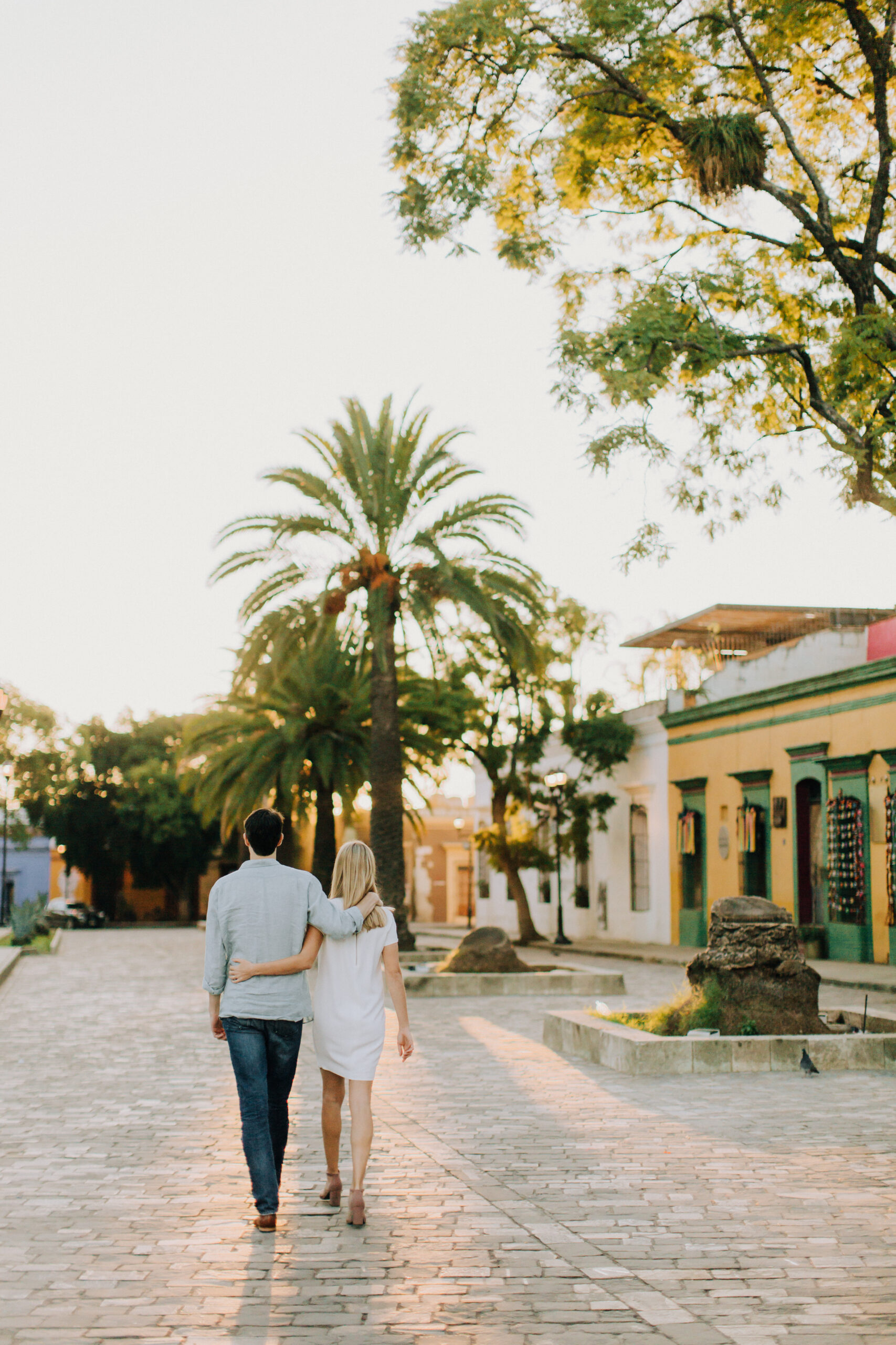 beautiful couple walk together in Oaxaca with the dreamy palm trees in the background