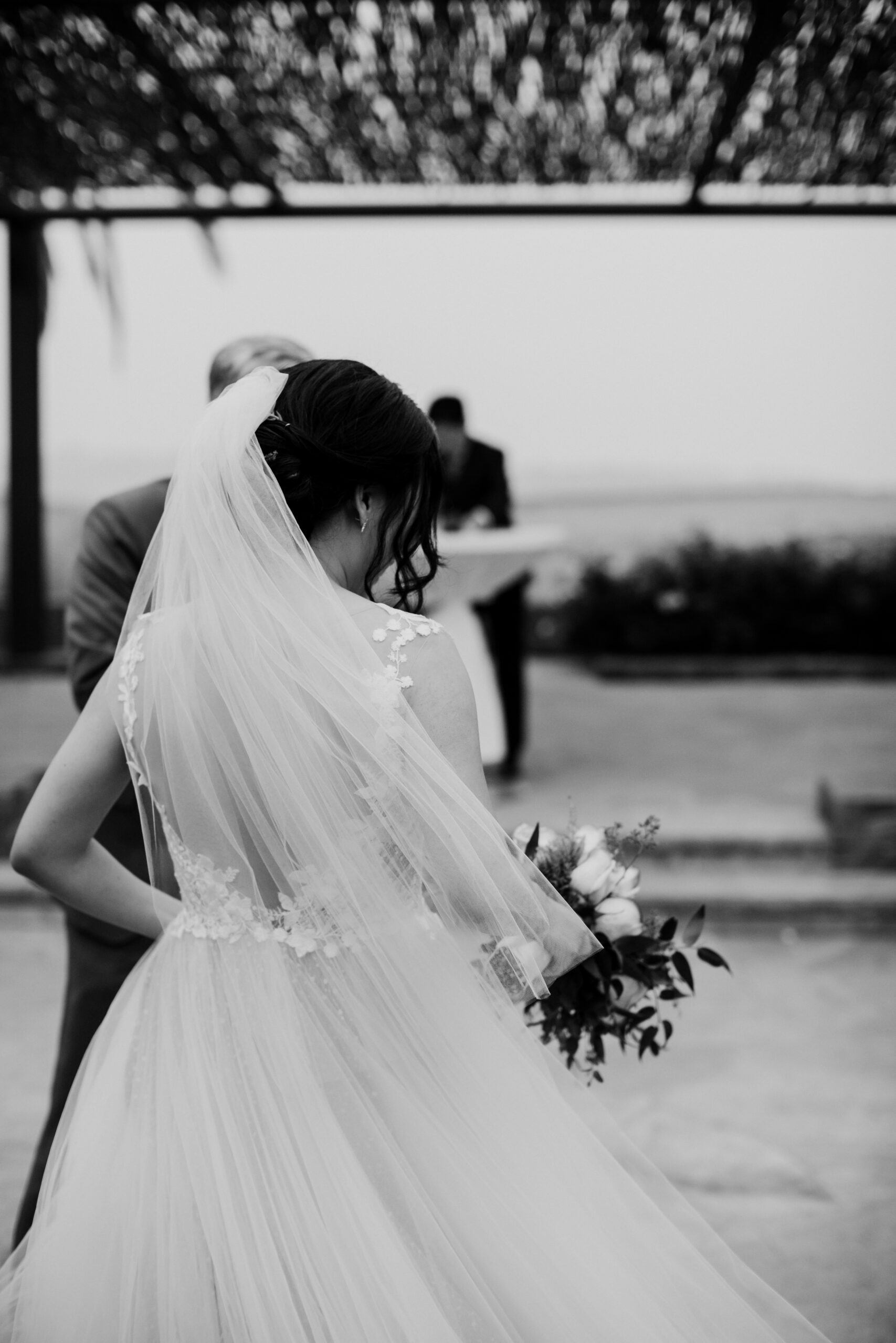 Stunning black and white shot of a bride during her vineyard wedding
