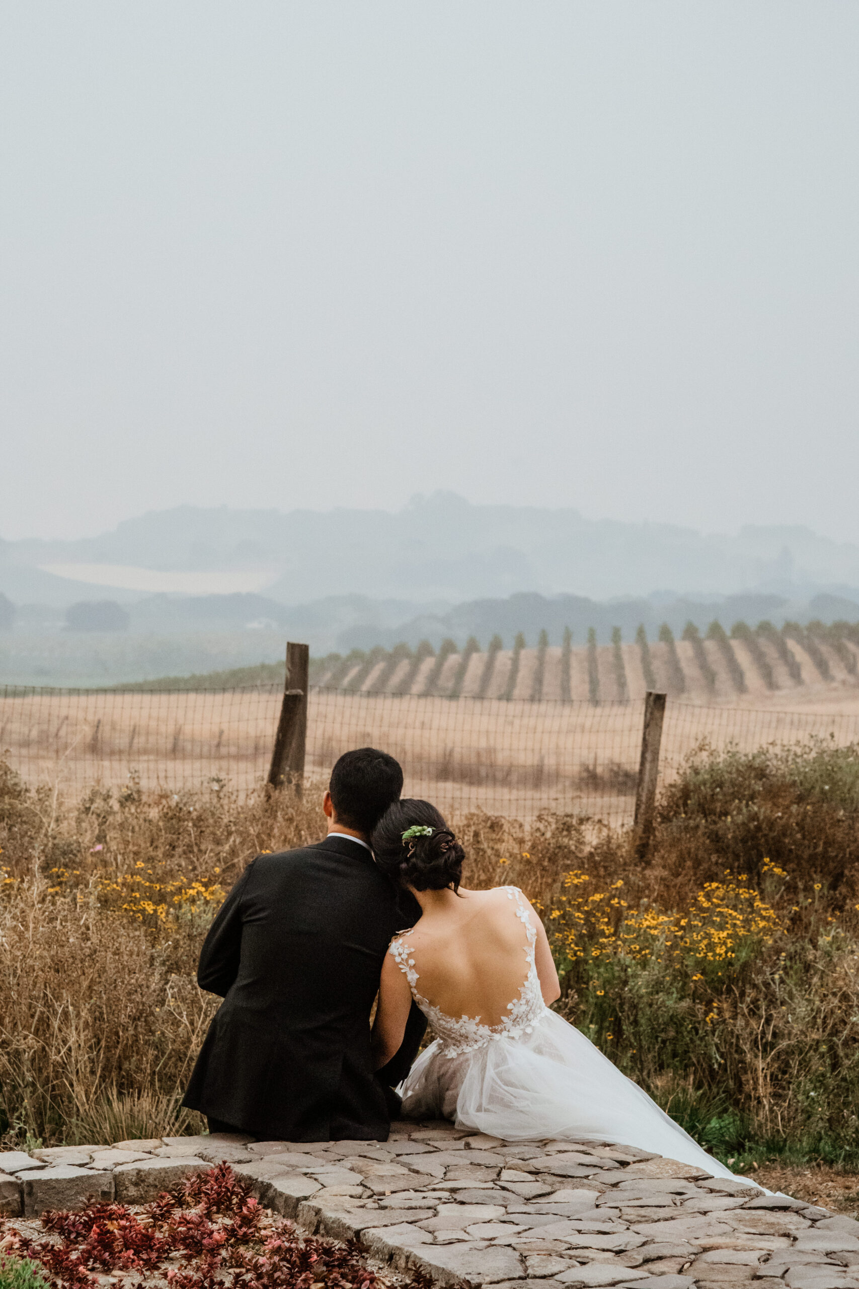 Stunning bride and groom overlook the vineyard rows after their Napa valley wedding