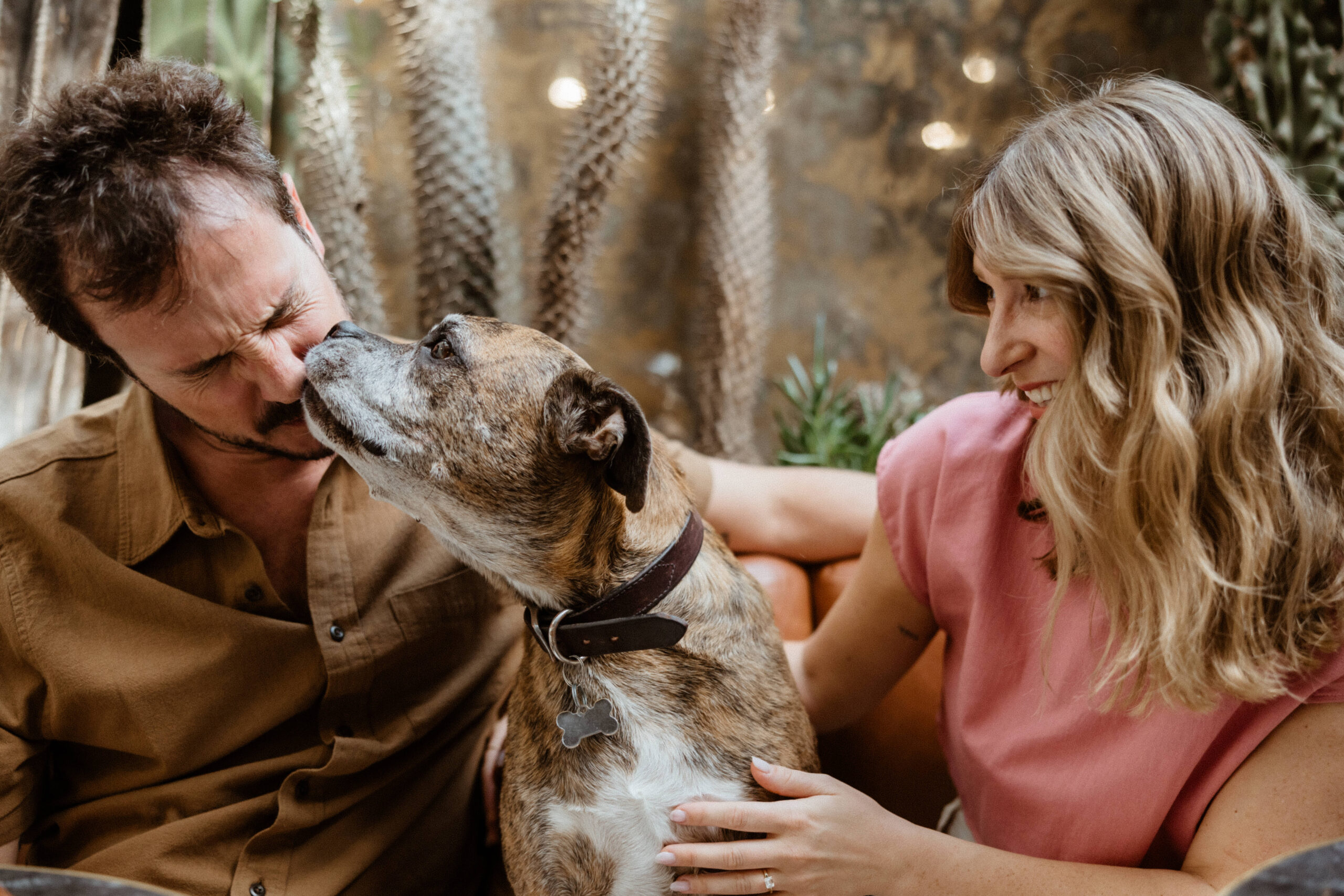 playful photo with man and womans dog licking mans face.