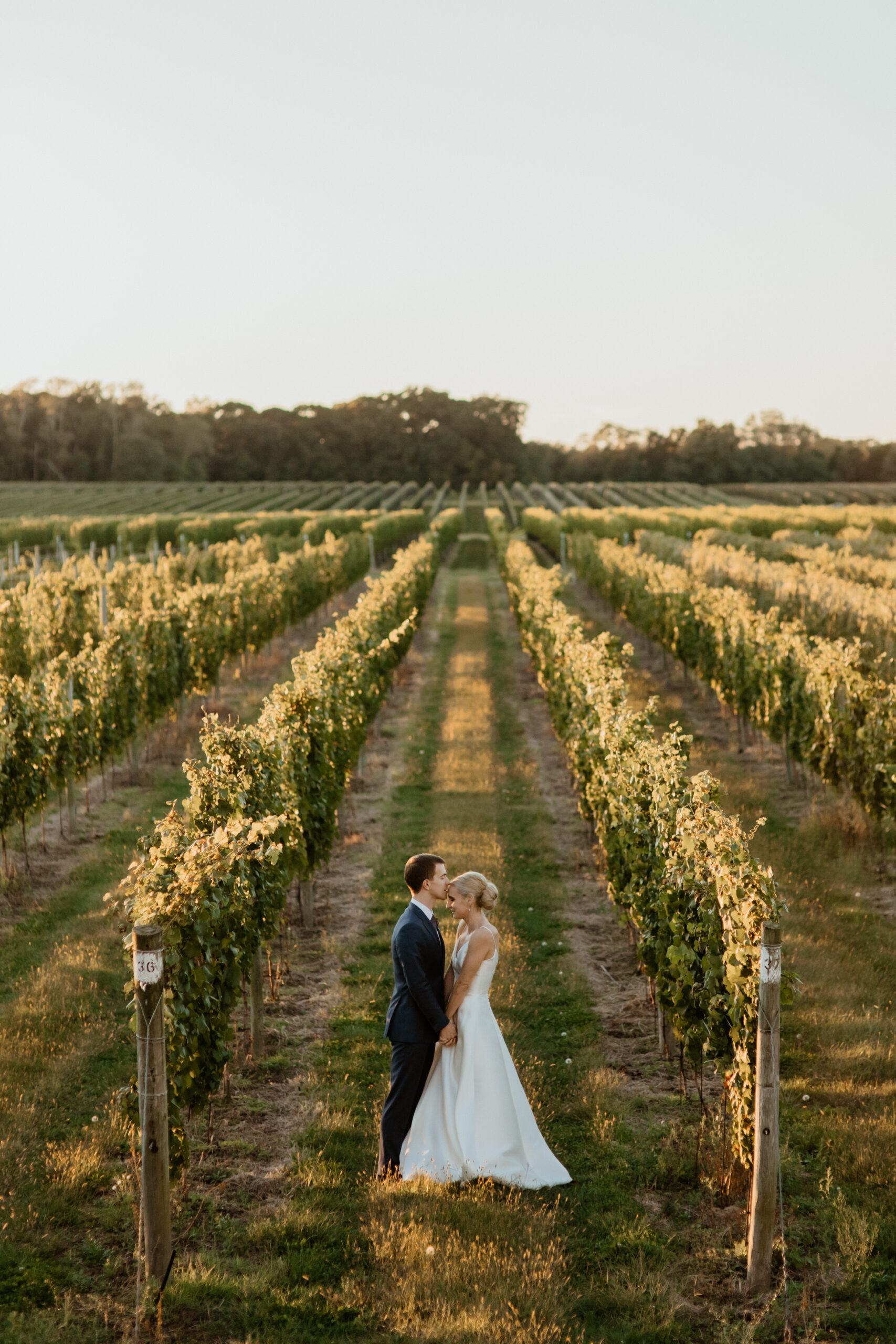 Stunning bride and groom pose in between vineyard rows in scenic Bedell Cellars wedding