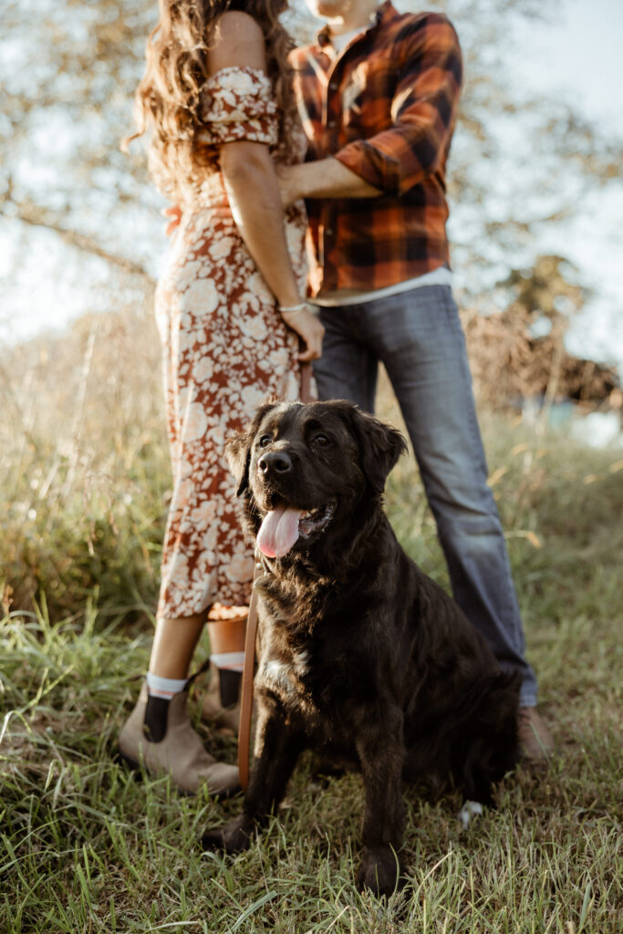 Couple embrace each other in the field while their dog stands guard during their casual engagement photo shoot