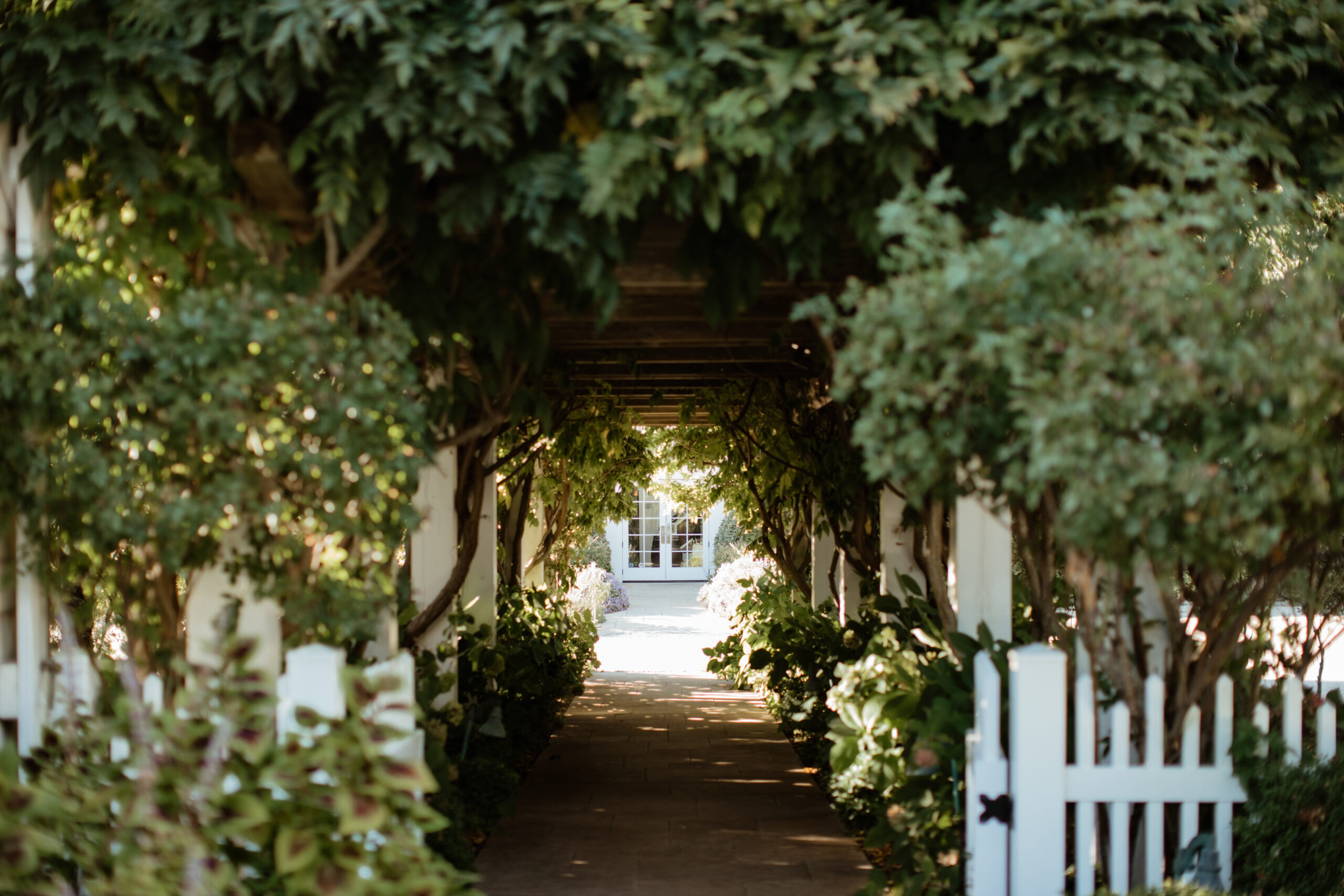 The lush arbor at Bedell Cellars