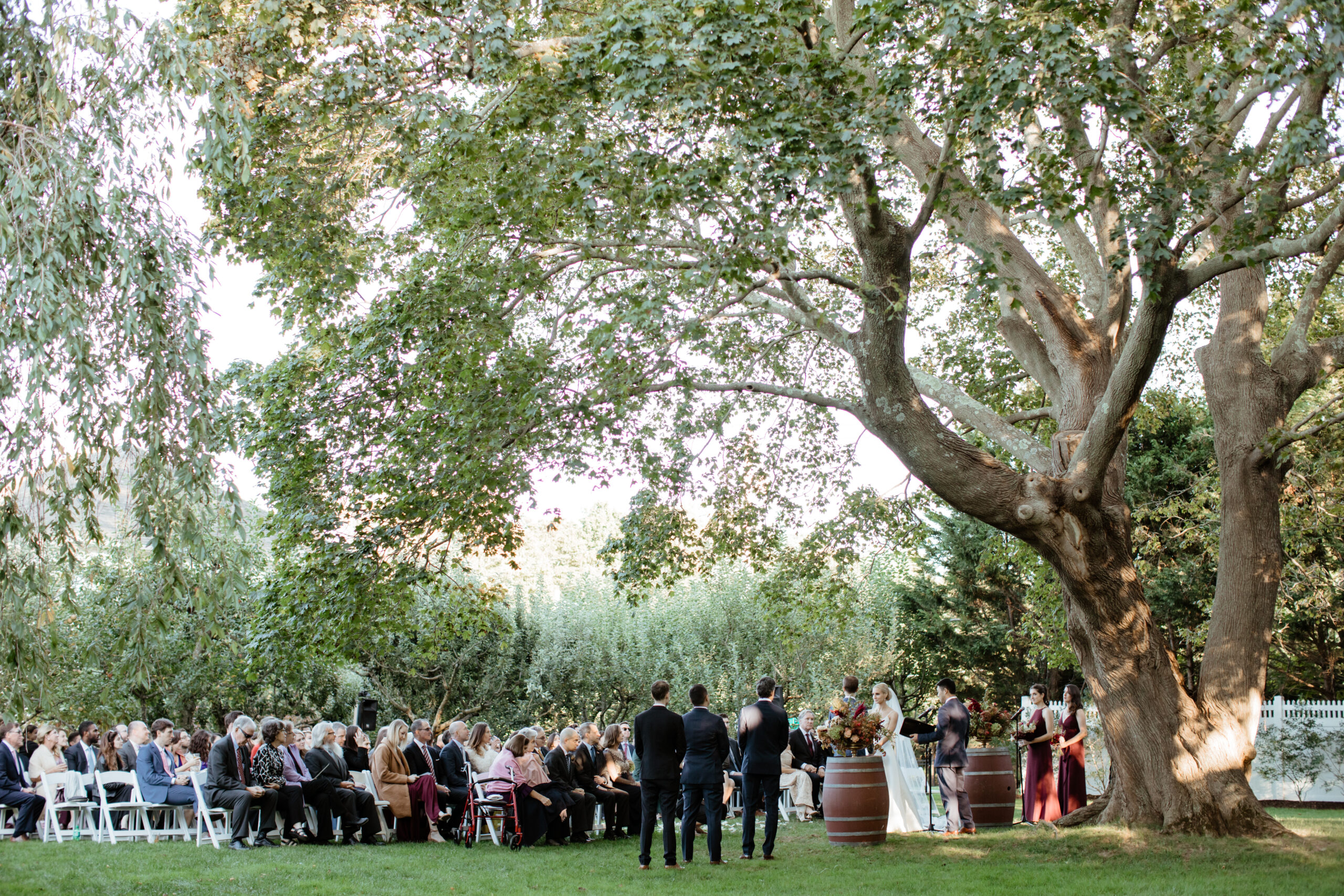 A wide angle photo of the ceremony space under the large tree at Bedell Cellars, NY