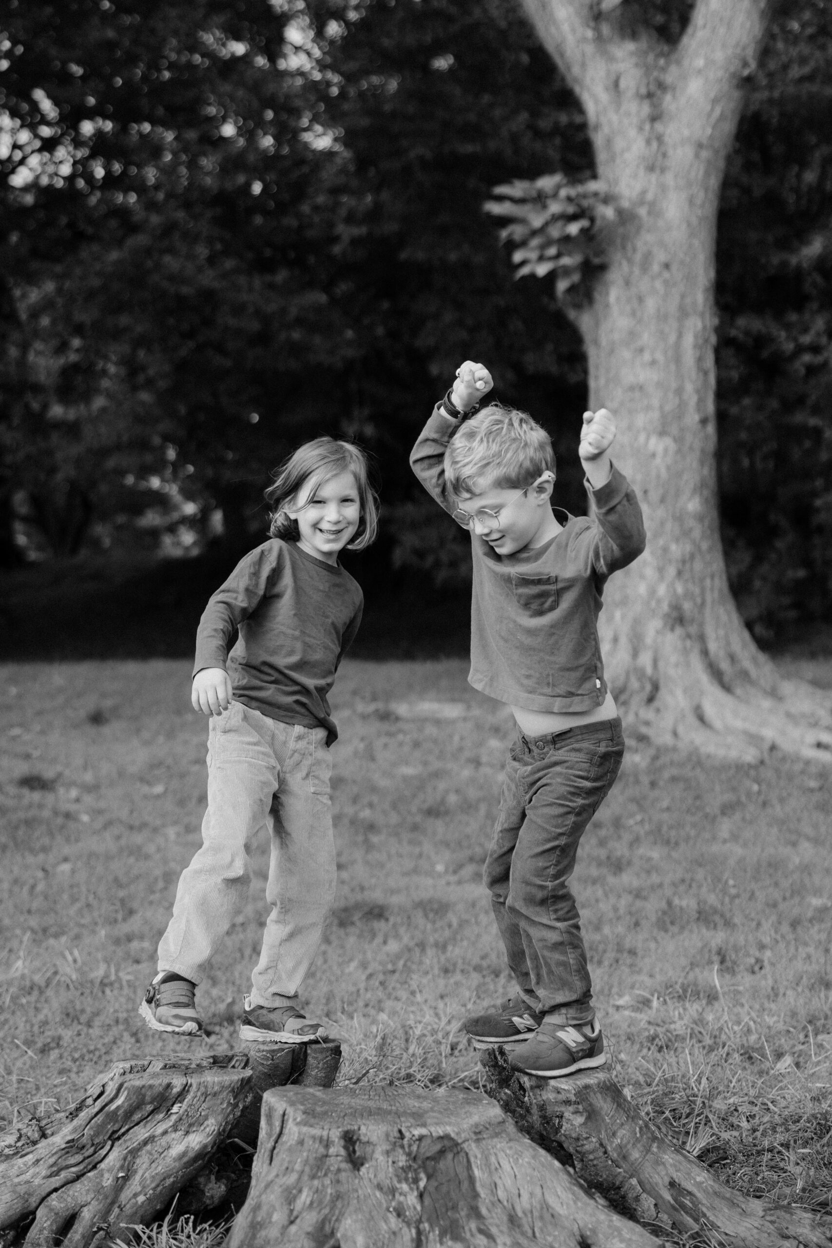 Loving brothers play on a stump together
