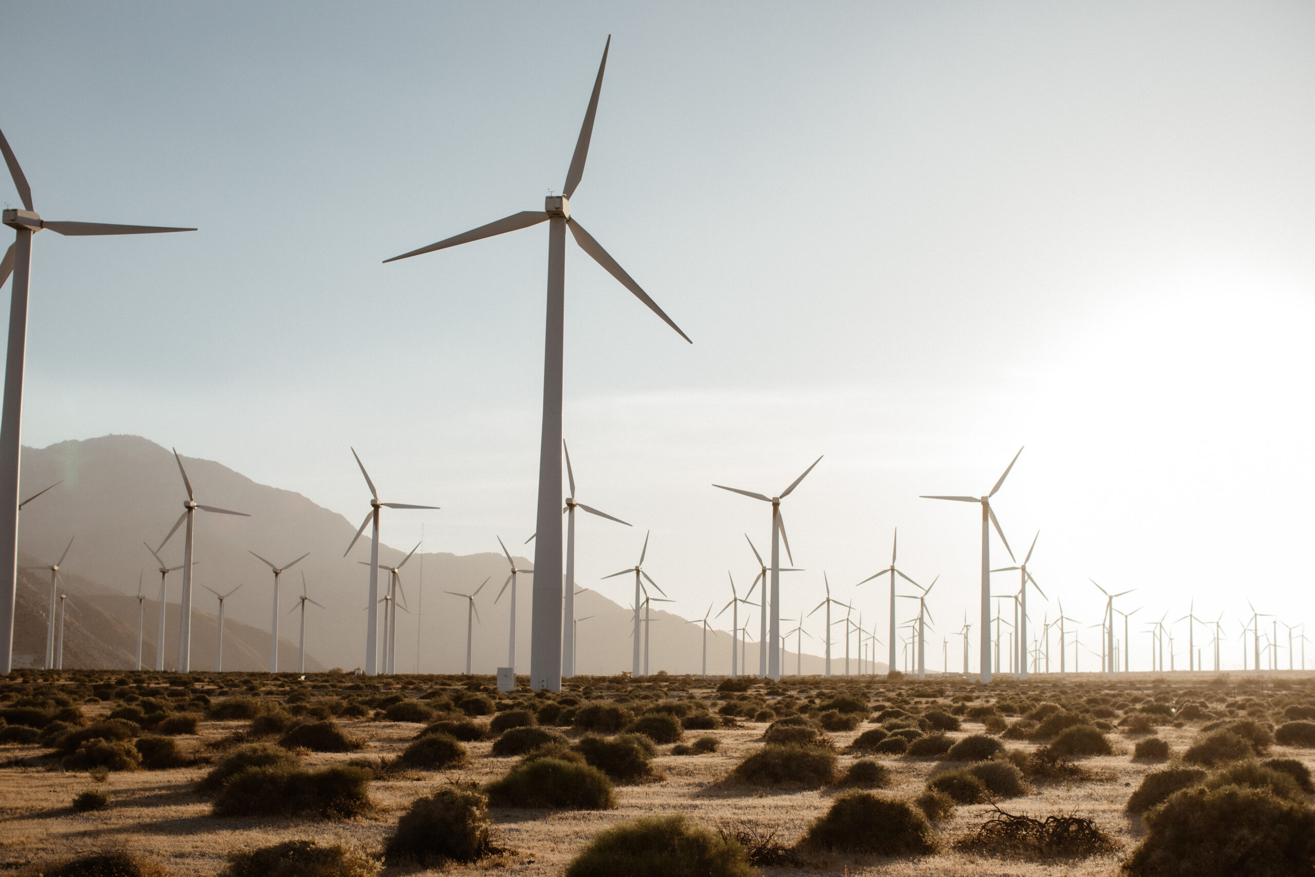 stunning Palm Springs windmills stand in the desert