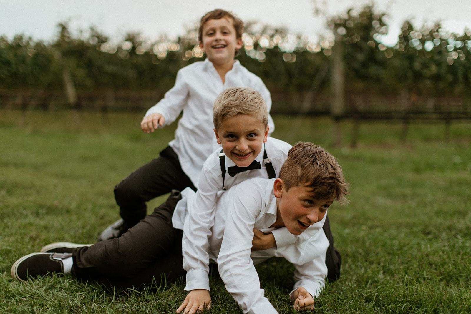 boys wrestle and play on the vineyard grounds after the dreamy church wedding