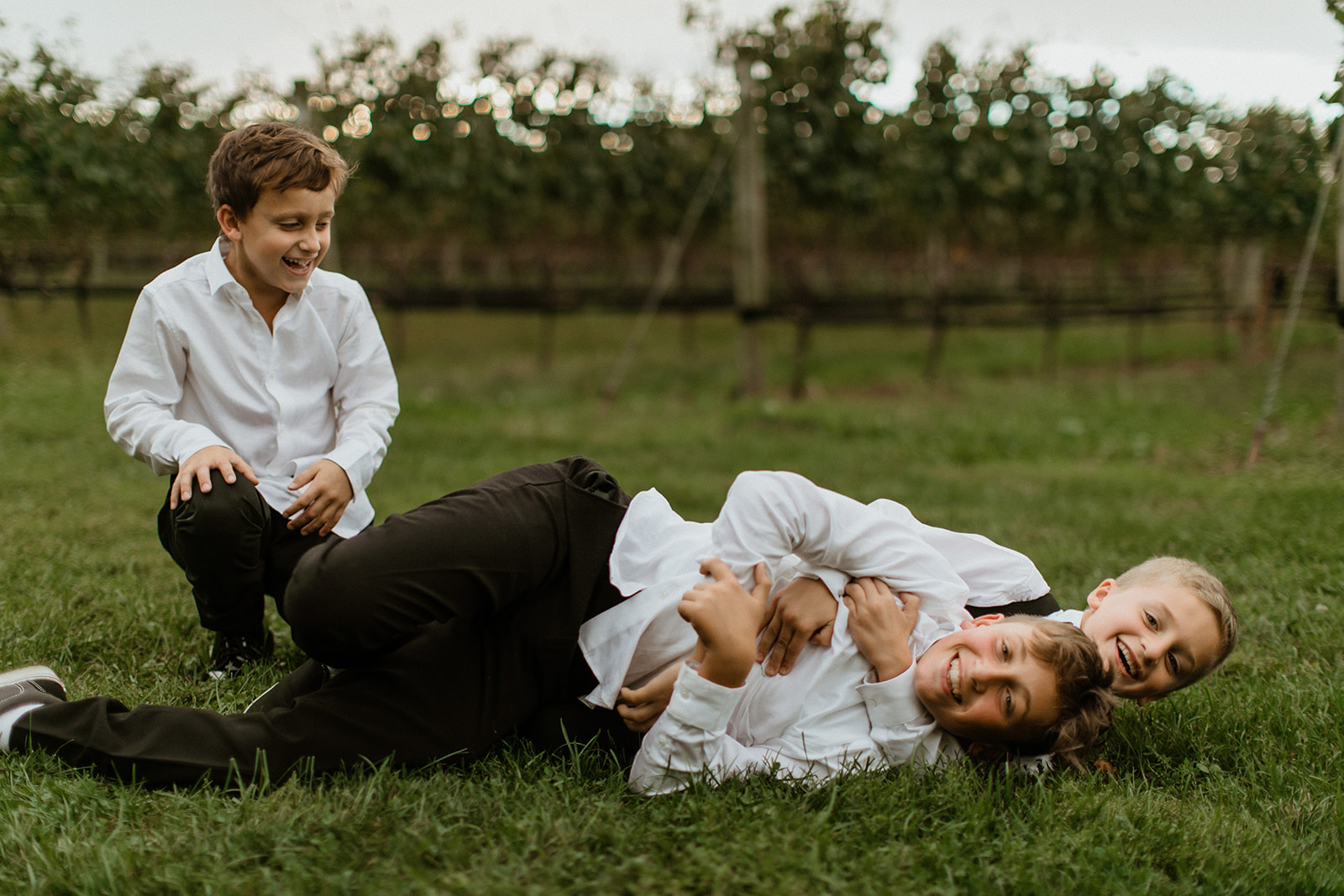 boys wrestle and play on the vineyard grounds after the dreamy church wedding