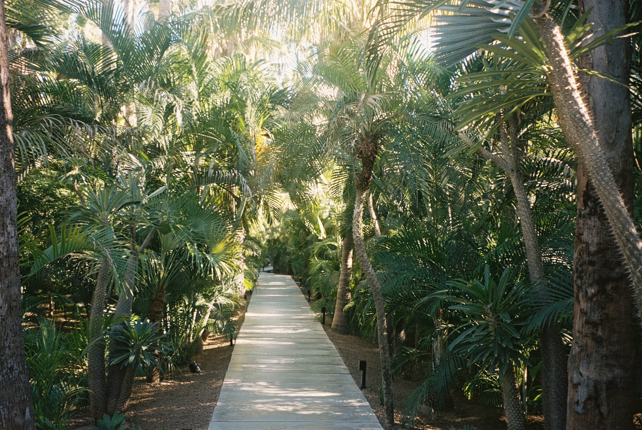 stunning acre baja wedding day venue