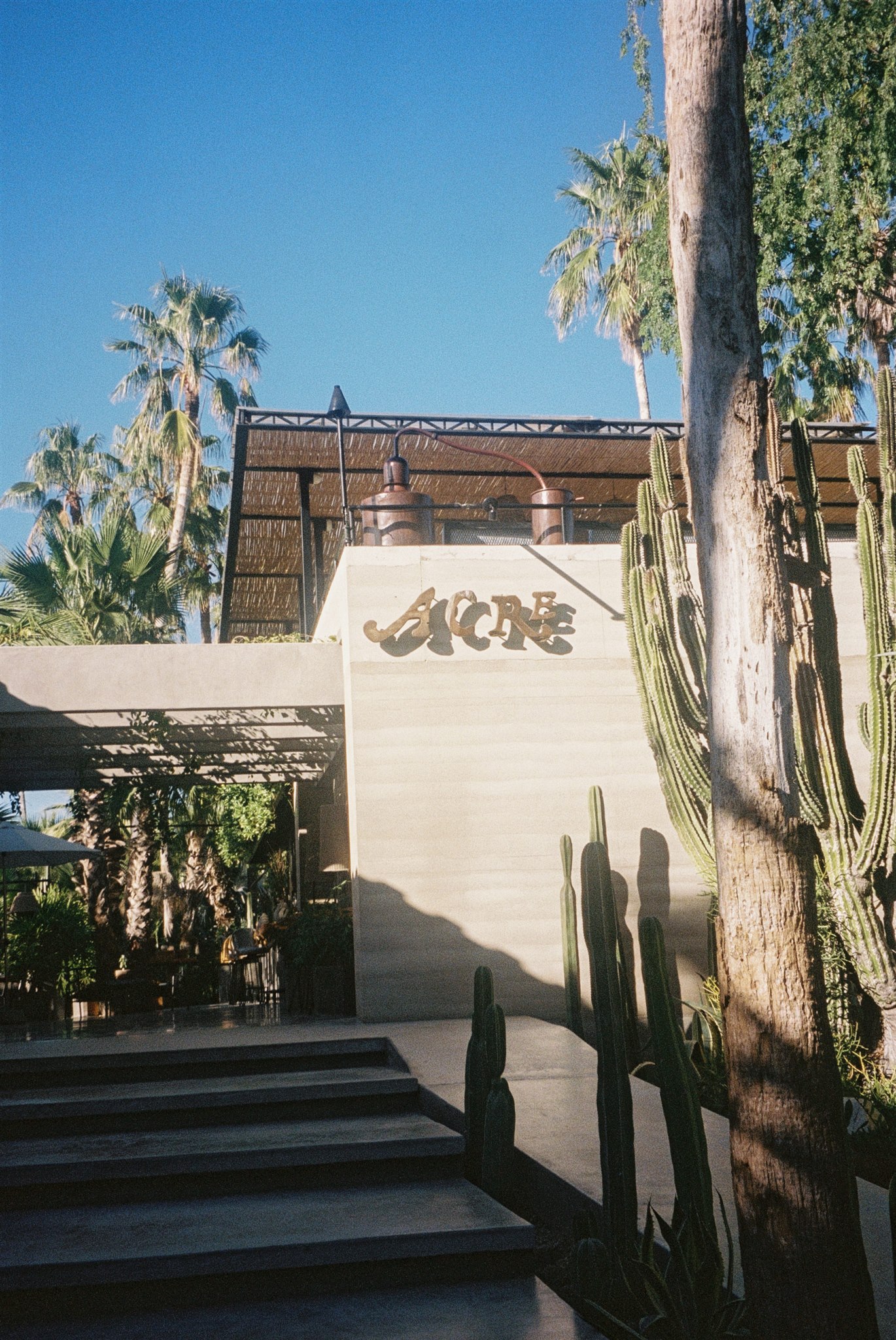 stunning coastal details of a dreamy acre baja wedding!