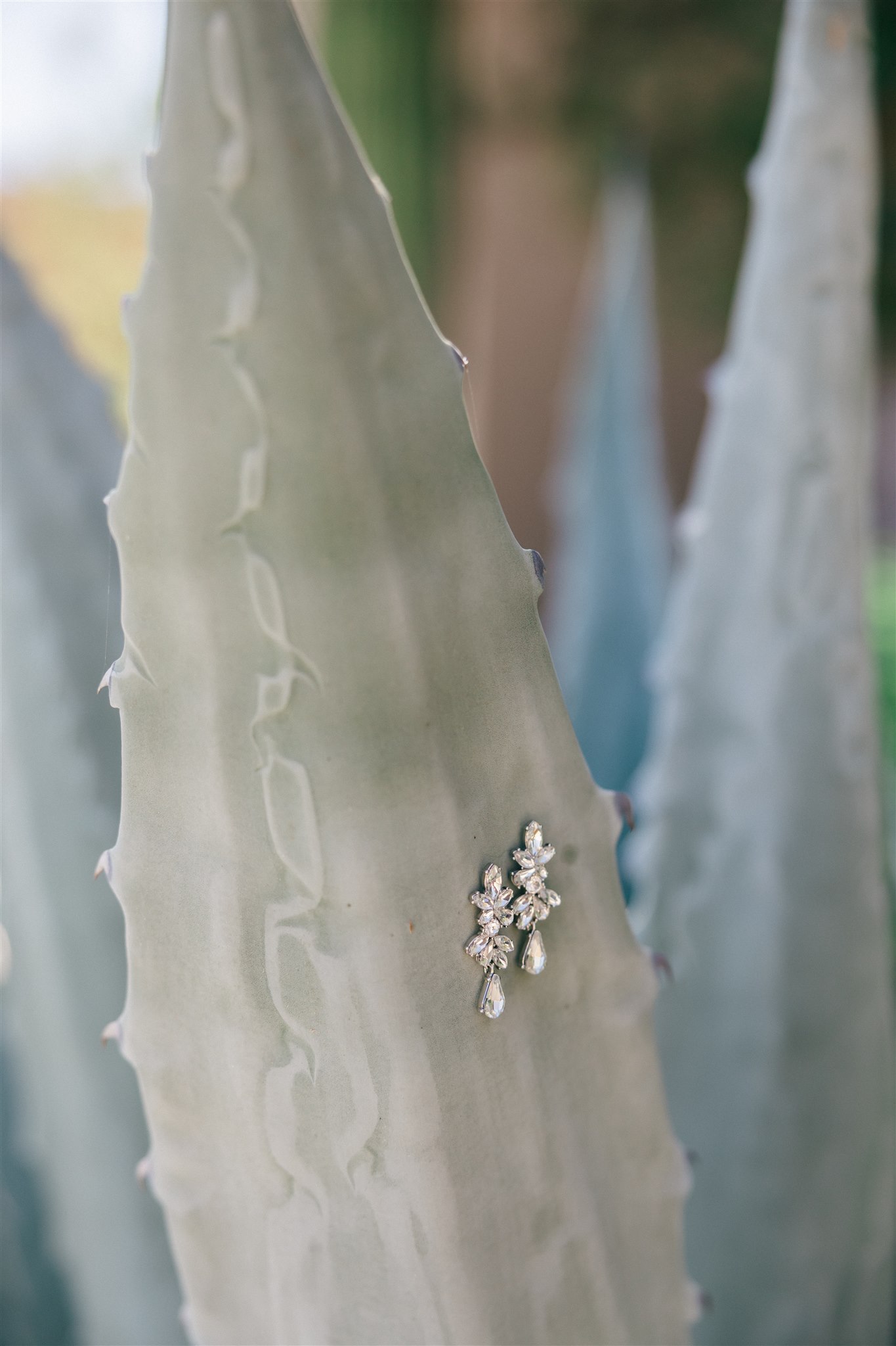 stunning coastal details of a dreamy acre baja wedding!