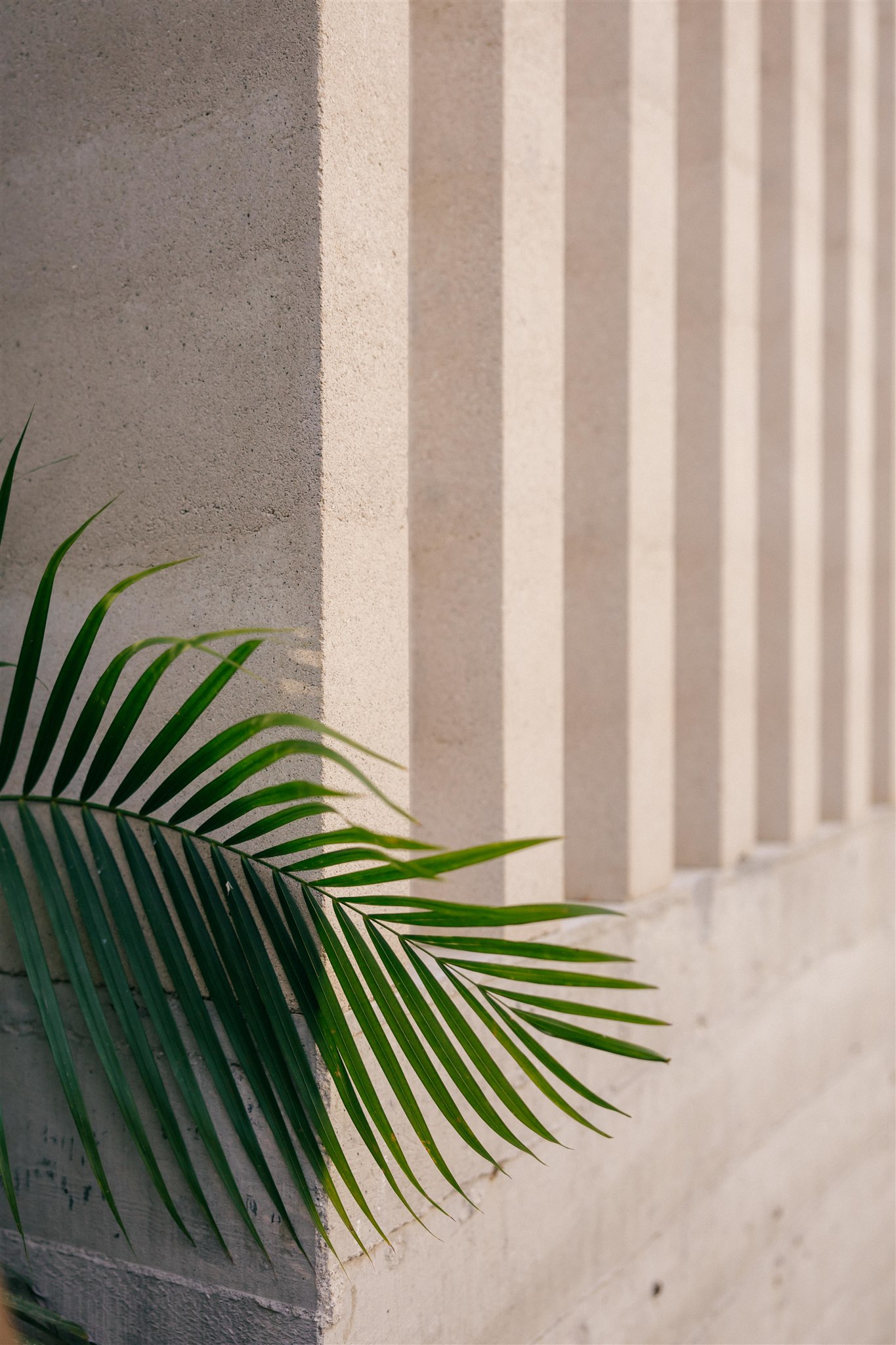 stunning coastal details of a dreamy acre baja wedding!