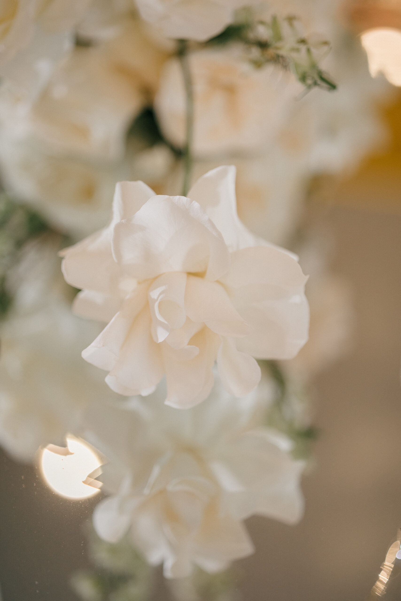 white wedding flower