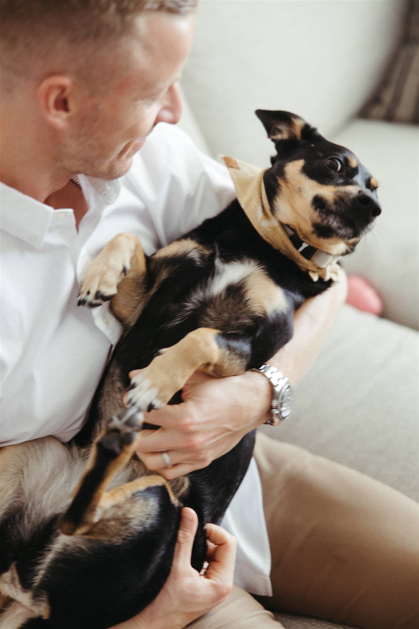 dog poses for a photo during an in home family photoshoot